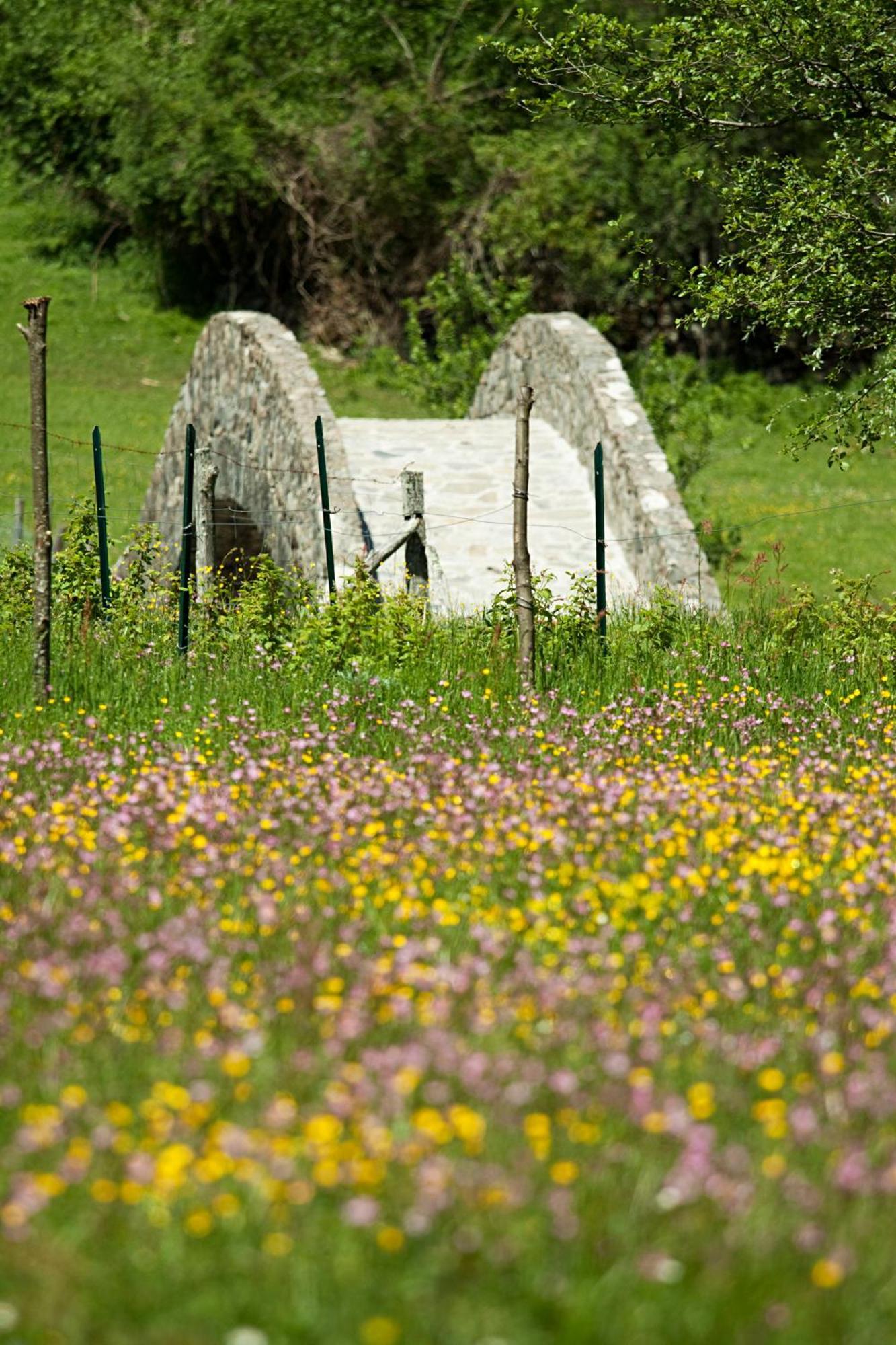 Mulino Marghen - Restored Watermill - Accomodation And Retreat Center Zeri ภายนอก รูปภาพ